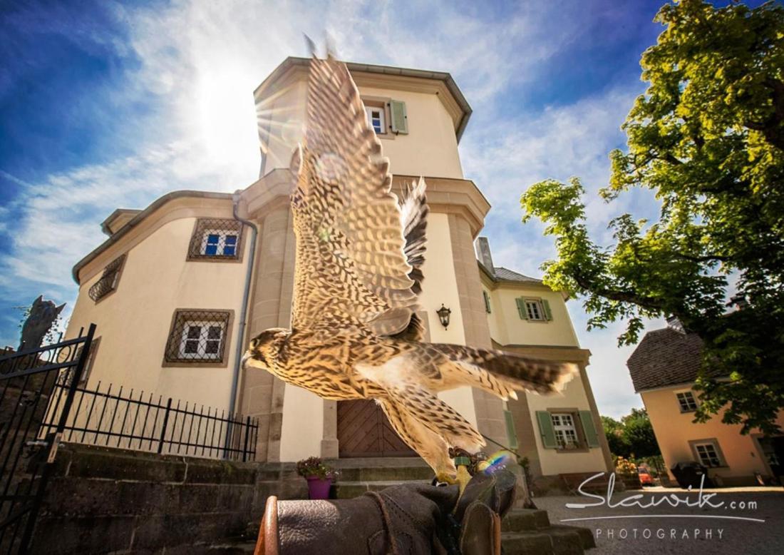 Schloss Falkenhaus Bad Berneck im Fichtelgebirge Exterior foto
